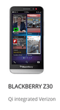 BlackBerry Z30 Smartphone Holster - Nutshell